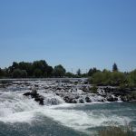 The Idaho Falls
